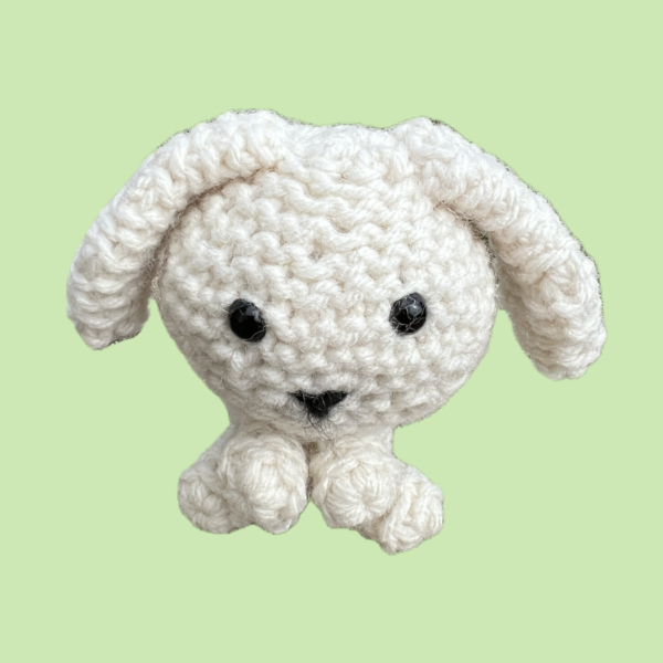 IMG_9048 Bundle Bunny Crochet Kit