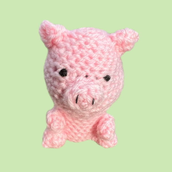 Piggy Pig Crochet Kit
