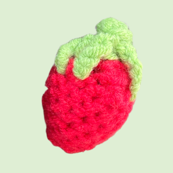 IMG_9167 Strawberry Crochet Kit