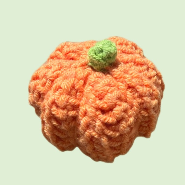 Pumpkin Crochet Kit